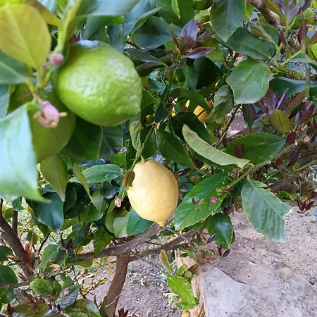 De Bezut Casa de Férias