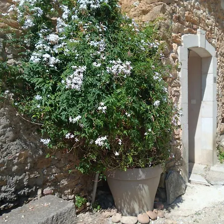 Casa de Férias De Bezut *