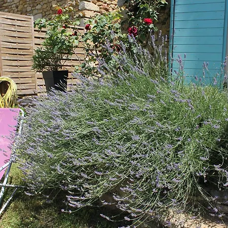 De Bezut * Baron (Gard)