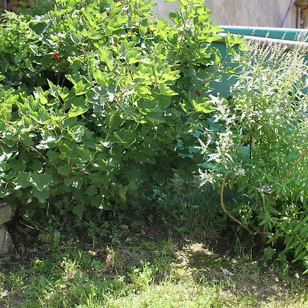 De Bezut Holiday home *