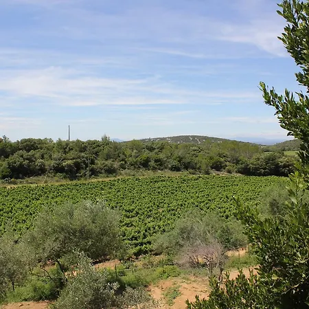 De Bezut * Baron (Gard)