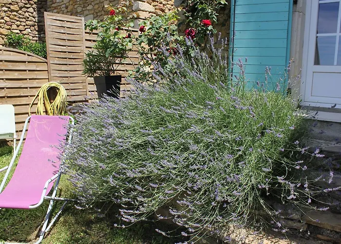 De Bezut * Baron (Gard)