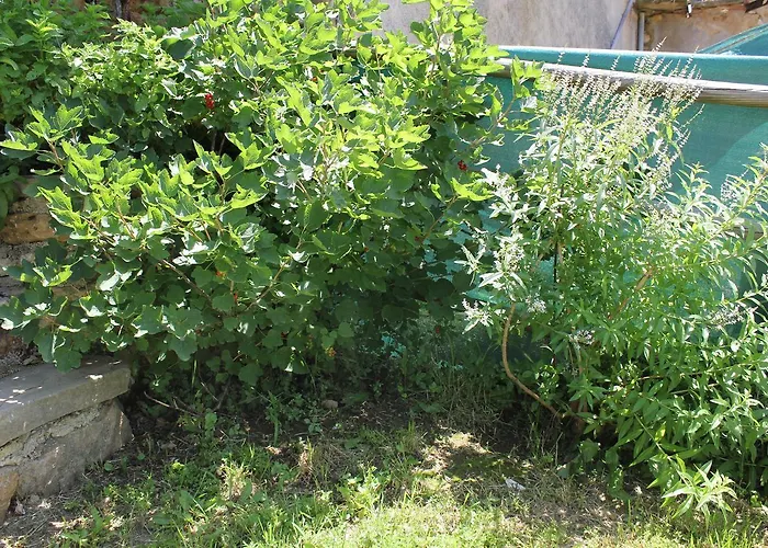 De Bezut Casa de Férias *