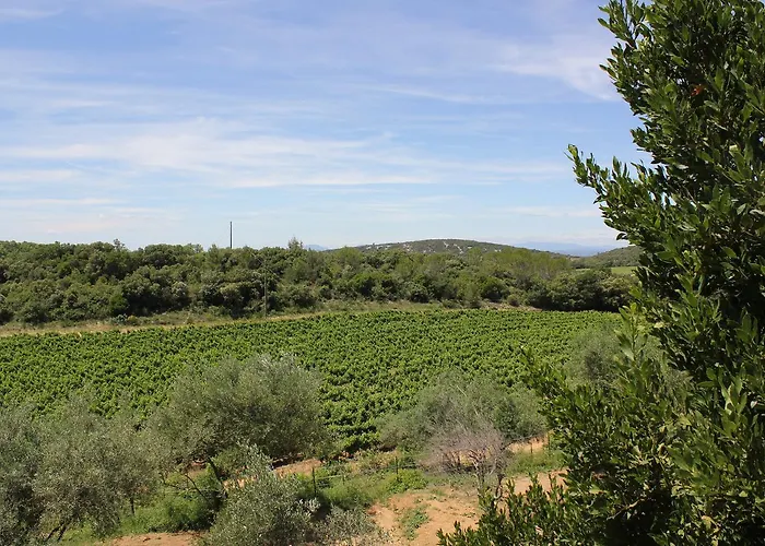 De Bezut * Baron (Gard)